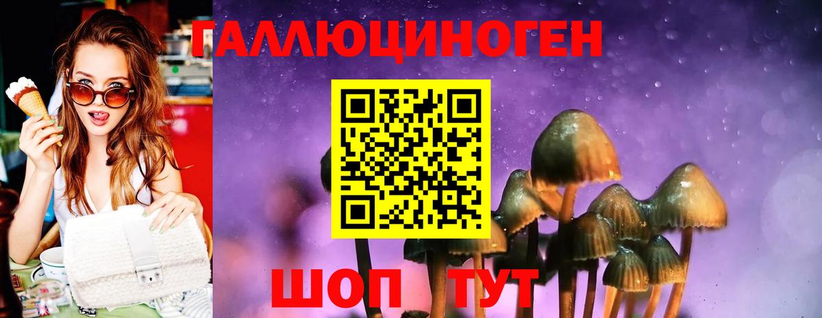 где найти   Галлюциногенные грибы Cubensis  Вход с VPN  Богданович 